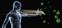 CBD - jak působí na lidský imunitní systém?